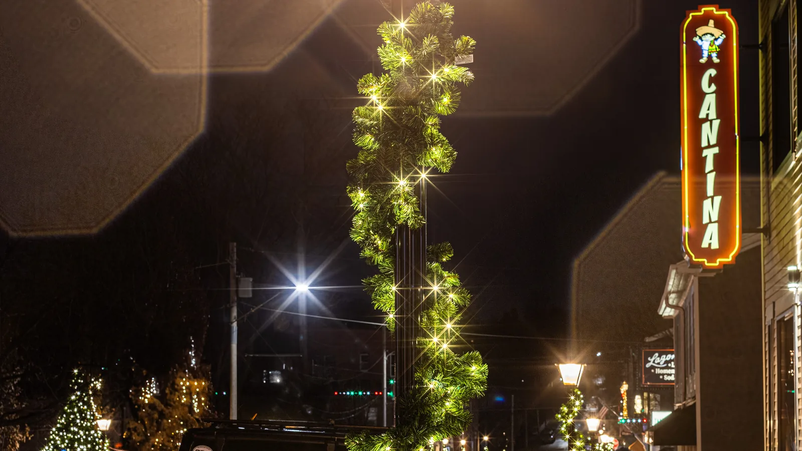 Municipal and public space holiday lighting in Metro Atlanta