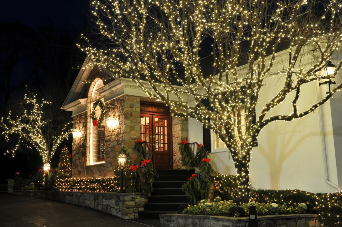 Front-yard tree wrapped in warm white Christmas lights